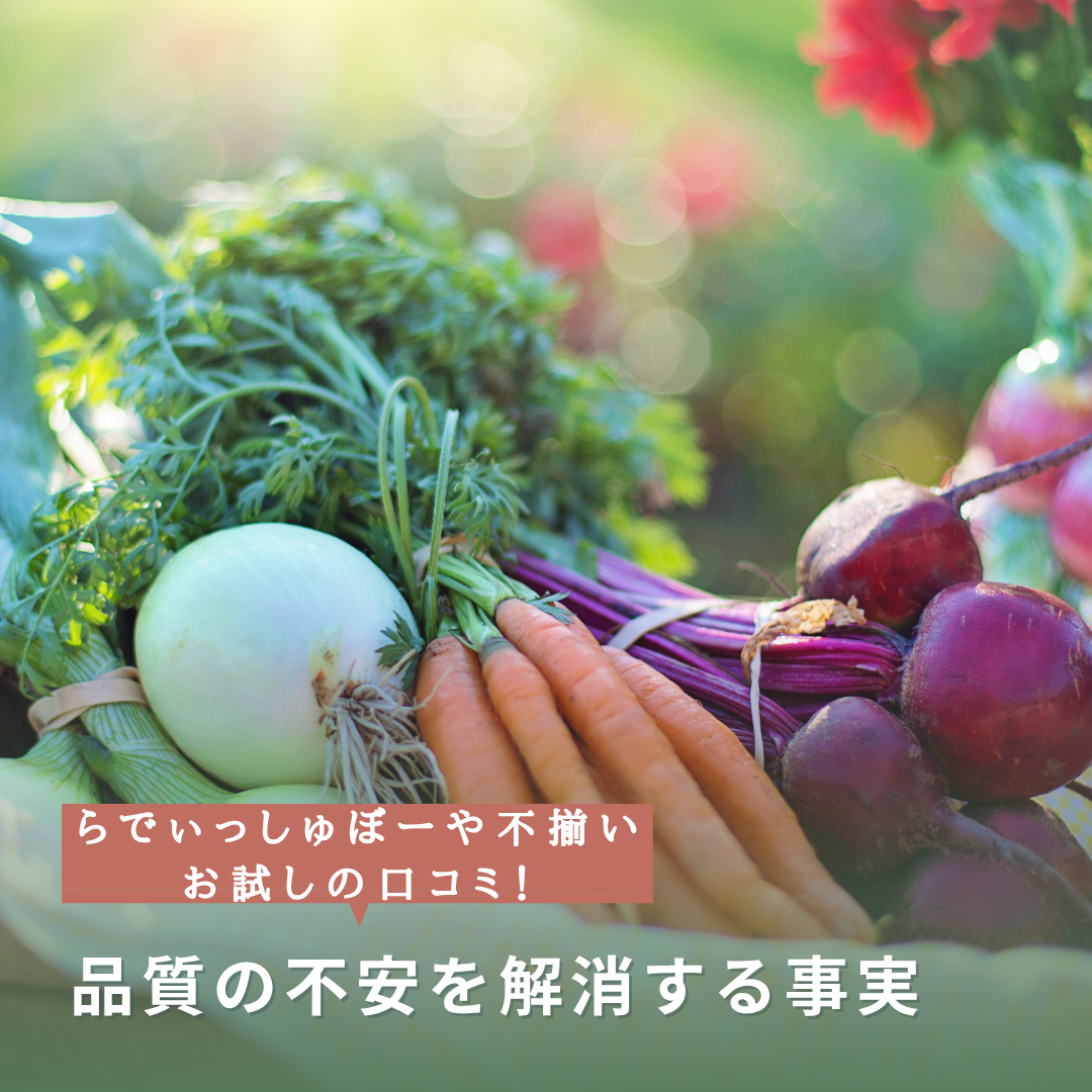 らでぃっしゅぼーや不揃いお試しの口コミ！品質の不安を解消する事実