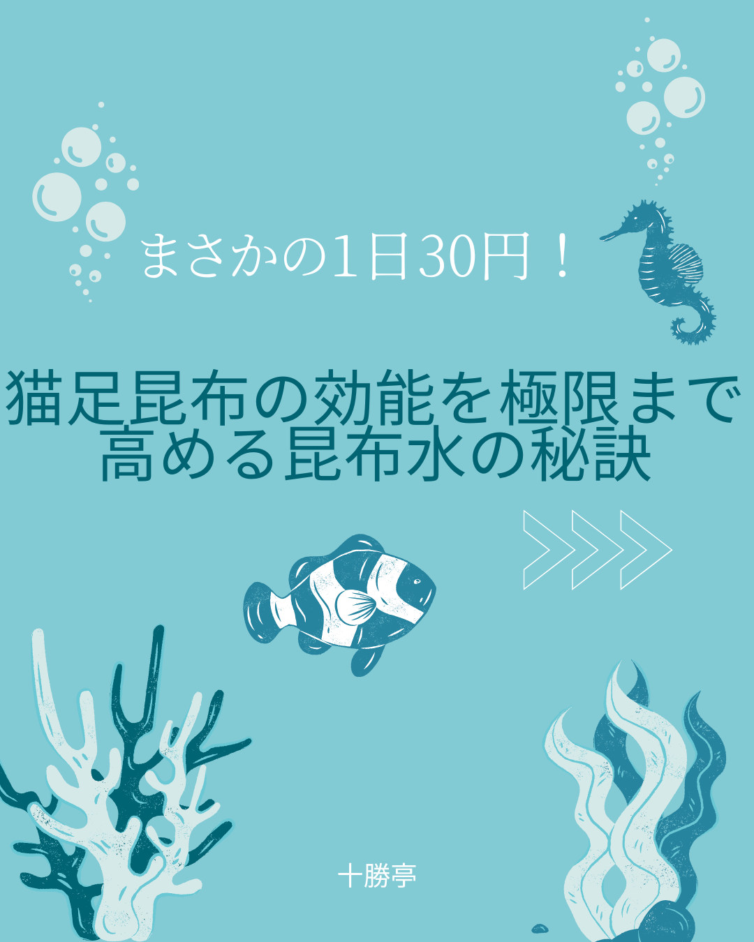 猫足昆布 効能