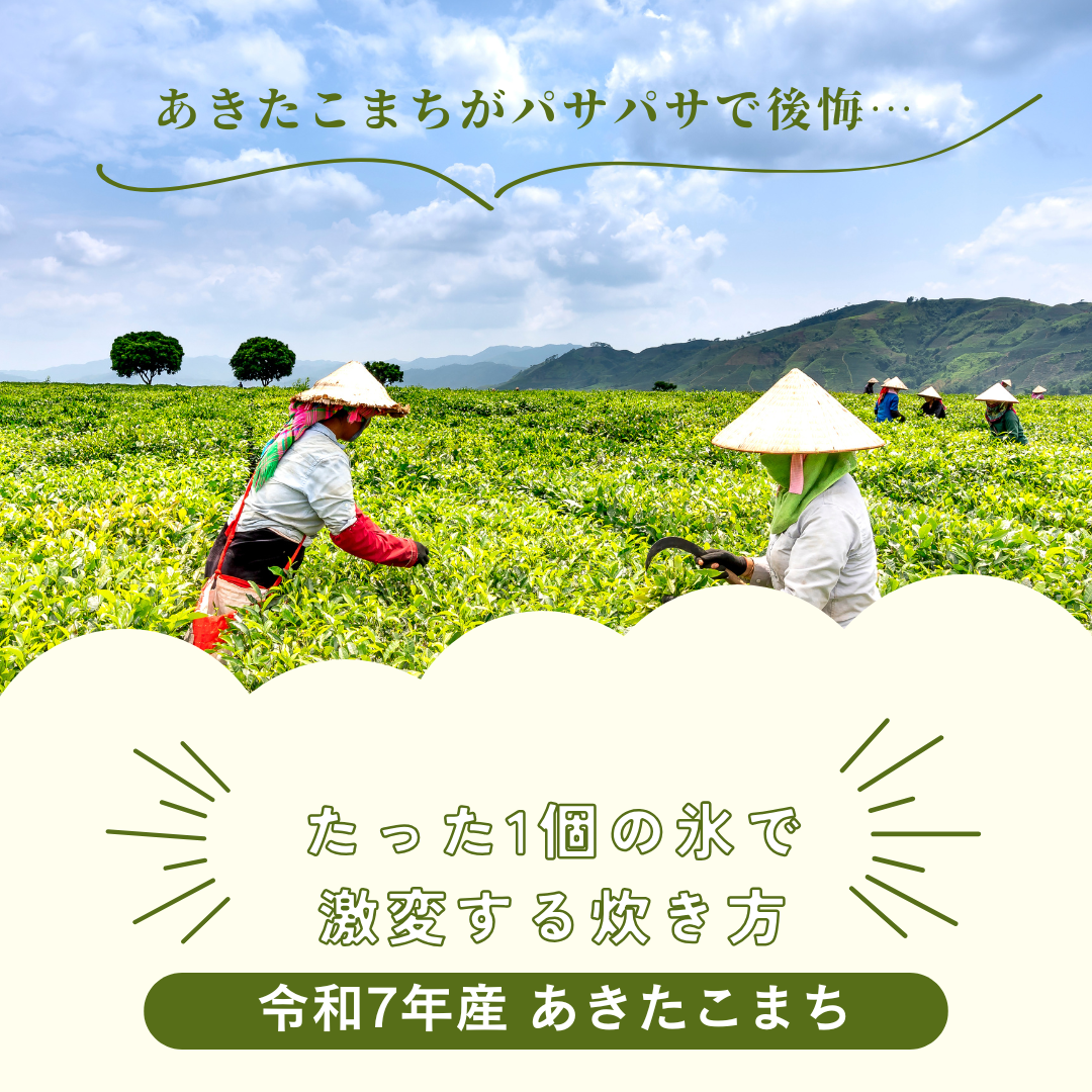 あきたこまち パサパサ